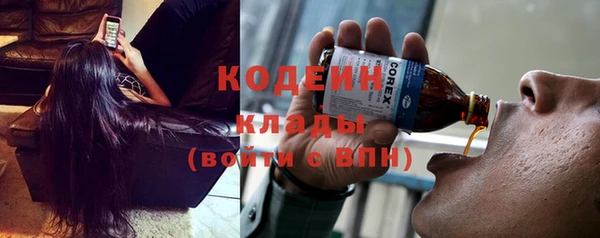прущая мука Арсеньев