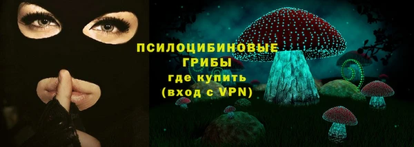 ПСИЛОЦИБИНОВЫЕ ГРИБЫ Алзамай