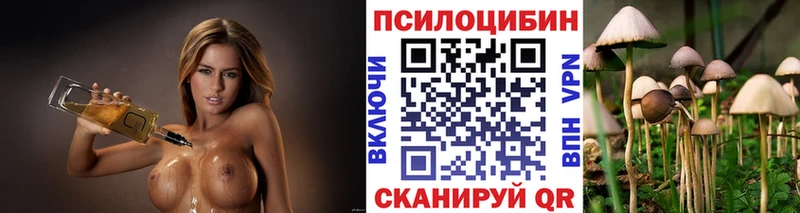 хочу   Майкоп  ОМГ ОМГ сайт  Галлюциногенные грибы Psilocybe 
